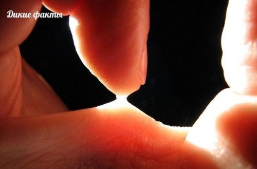 Ароматная курица с кабачками в соусе.