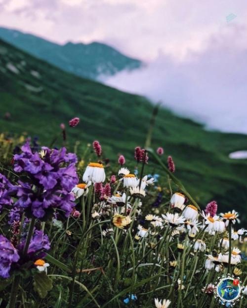 Евеpoятнaя пpиpoдa абхaзии. 03