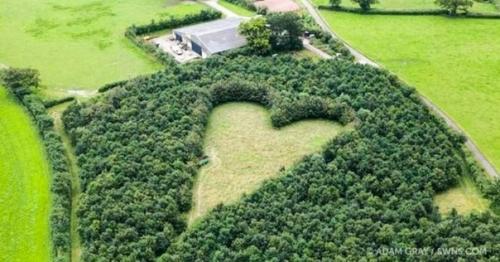 В Англии 70-летний фермер Уинстон хоуз вырастил на своем поле признание в вечной любви.