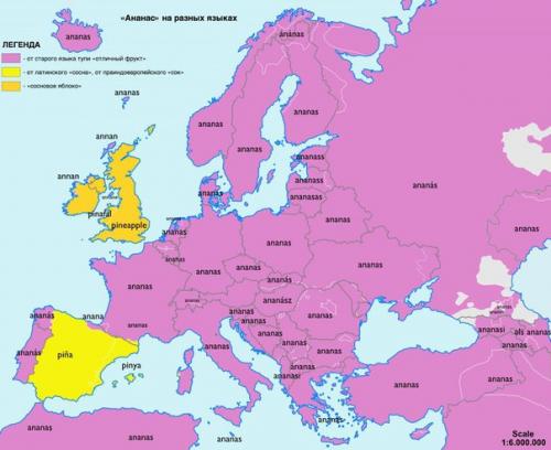 Что русскому ананас, то и немцу ананас. 04