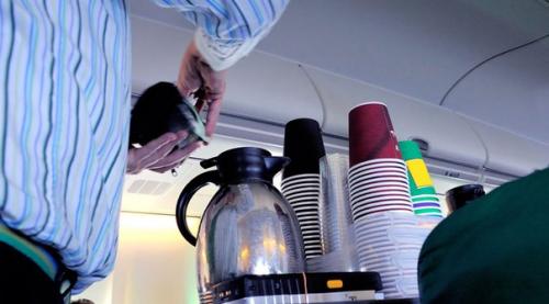 Секреты от стюардесс. 05 Секреты от стюардесс. 05