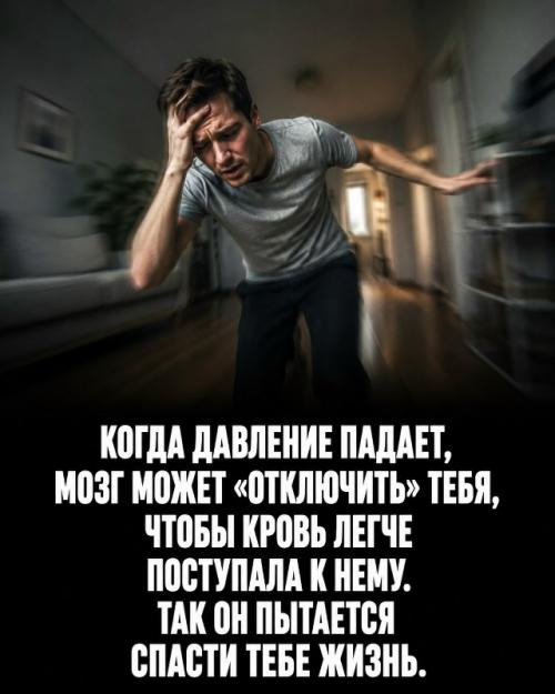 Твоё тело работает 24 часа в сутки без твоего участия. 07
