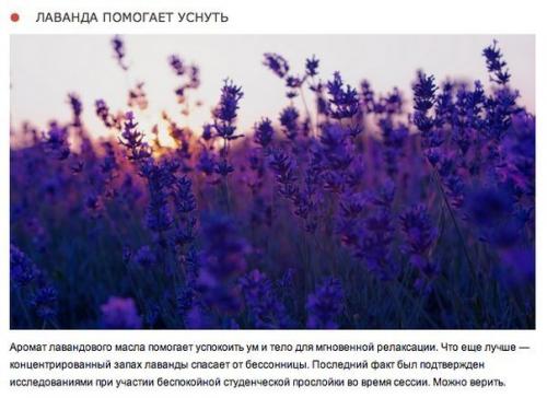 10 природных ароматов, которые меняют настроение. 08