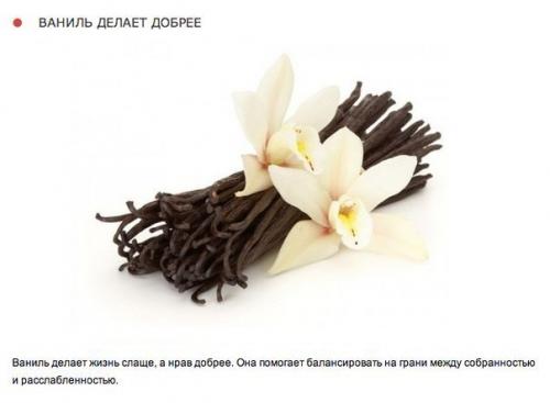 10 природных ароматов, которые меняют настроение. 02