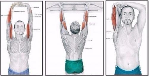 Зачем нужна растяжка и как правильно растягиваться? 07