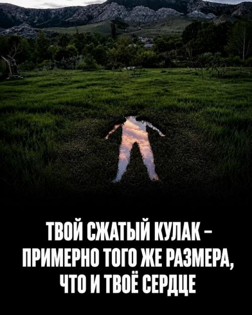 Твоё тело работает 24 часа в сутки без твоего участия. 04
