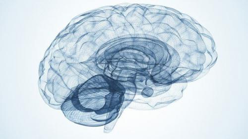 Шесть удивительных фактов из психологии и как извлечь из них пользу.