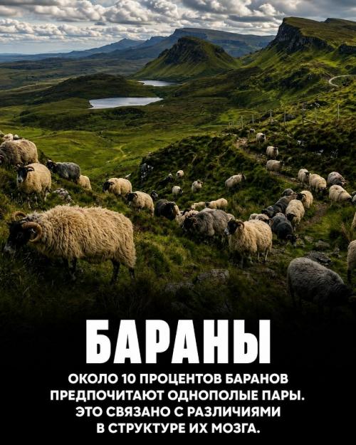 Природа продолжает удивлять даже тех, кто посвятил ей всю жизнь. 02