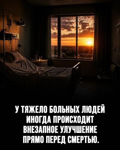 Твоё тело работает 24 часа в сутки без твоего участия. 02