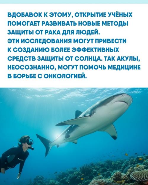История акул - это не только захватывающие факты о самих животных, но и уроки для человечества. 02