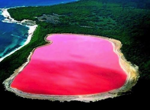 Ре тба, или ро зовое о зеро, - озеро в Сенегале, расположено в 20 км к северо-востоку от полуострова зелёный мыс. 02