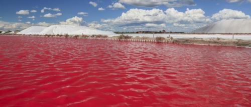 Ре тба, или ро зовое о зеро, - озеро в Сенегале, расположено в 20 км к северо-востоку от полуострова зелёный мыс. 01