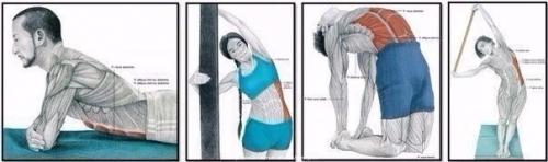 Зачем нужна растяжка и как правильно растягиваться? 05