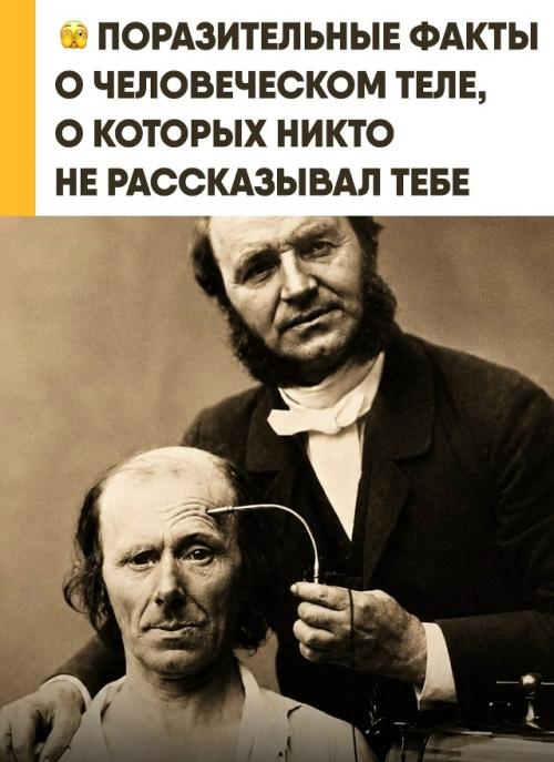 Твоё тело работает 24 часа в сутки без твоего участия. 
