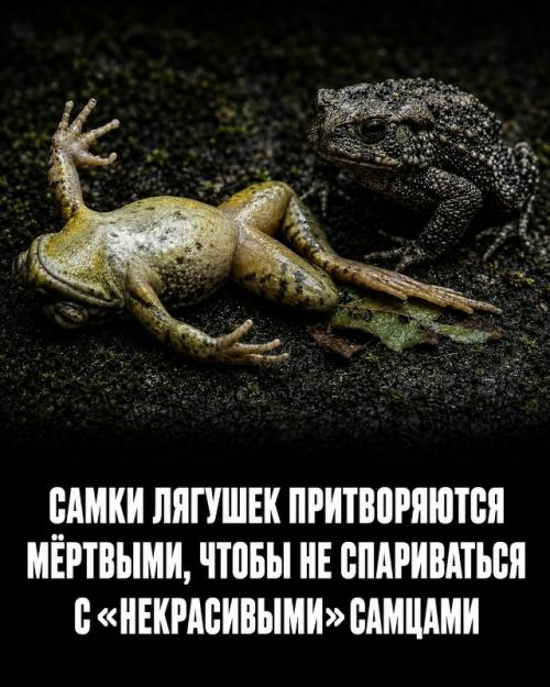 Природа продолжает удивлять даже тех, кто посвятил ей всю жизнь. 01