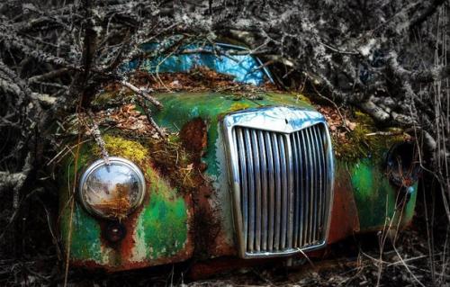 В лесах на юге Швеции находится удивительное место - кладбище автомобилей ушедшей эпохи.