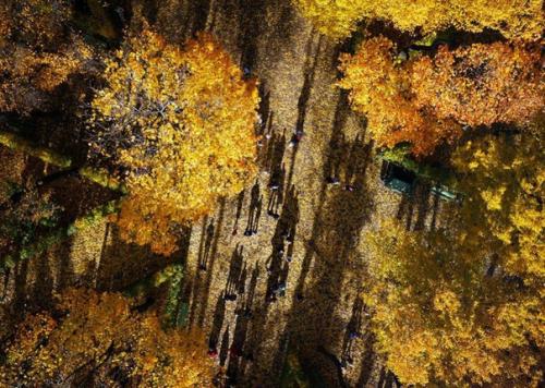 Фотограф эймос чаппл посетил Санкт-петербург. 09