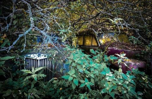 В лесах на юге Швеции находится удивительное место - кладбище автомобилей ушедшей эпохи. 01