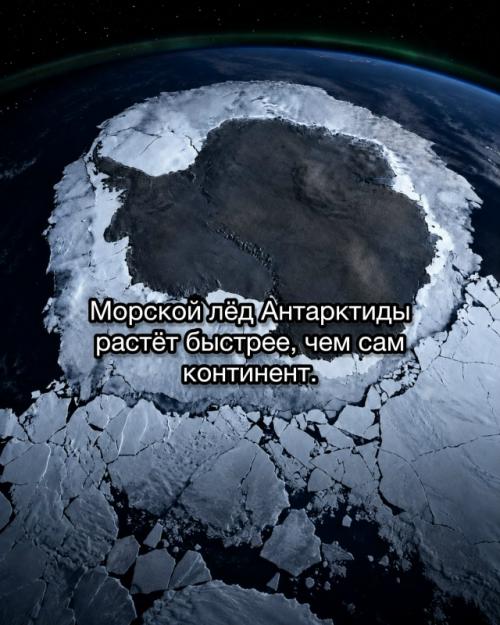 Антарктида кажется пустой и безмолвной, но именно это делает её по-настоящему тревожной. 02