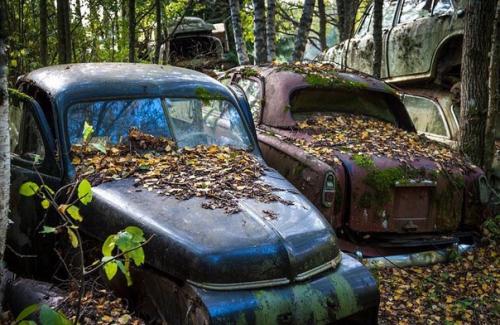 В лесах на юге Швеции находится удивительное место - кладбище автомобилей ушедшей эпохи. 09