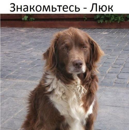 Машина на фото - астон Мартин за 80 тыс. 03