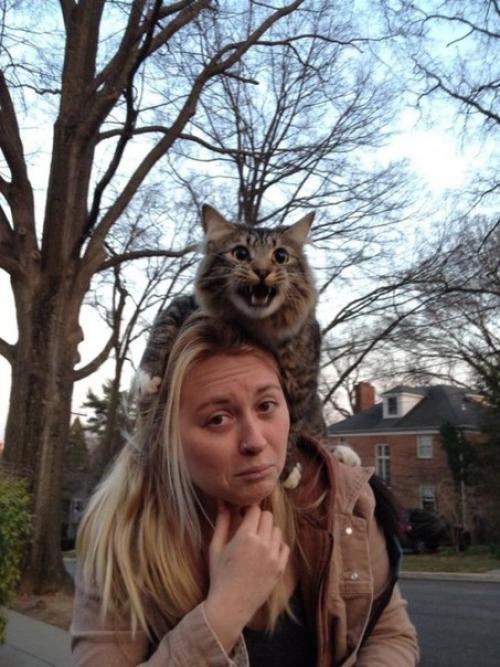 Winter is Coming. 03