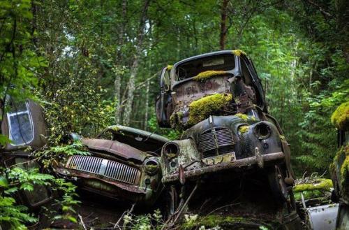 В лесах на юге Швеции находится удивительное место - кладбище автомобилей ушедшей эпохи. 02