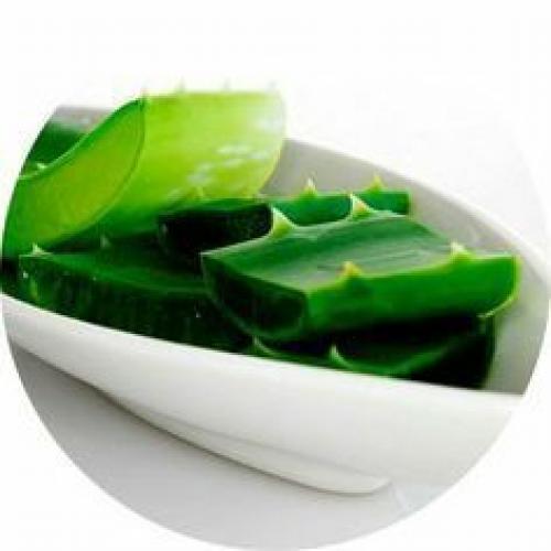 Алоэ Вера живёт в симбиозе с грибами, которые обитают в корнях растения и способствуют извлечению питательных веществ из почвы. 02