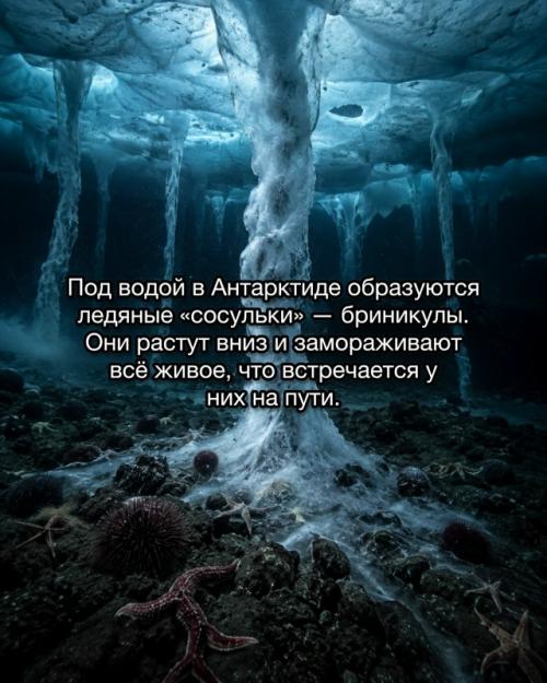 Антарктида кажется пустой и безмолвной, но именно это делает её по-настоящему тревожной. 05
