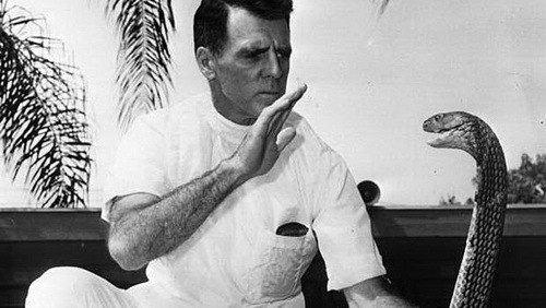 Житель Майами Билл хааст, известный как Человек Змея, перенёс больше 170 укусов ядовитых змей.