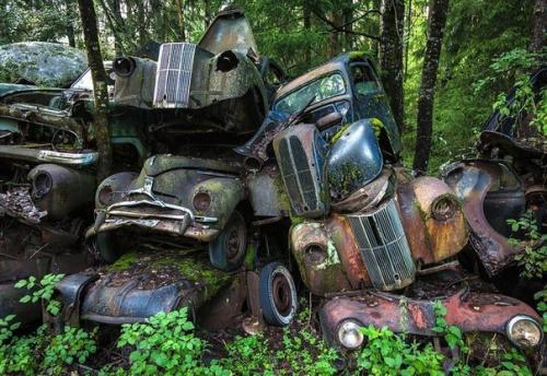 В лесах на юге Швеции находится удивительное место - кладбище автомобилей ушедшей эпохи. 05