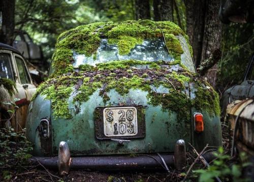 В лесах на юге Швеции находится удивительное место - кладбище автомобилей ушедшей эпохи. 06
