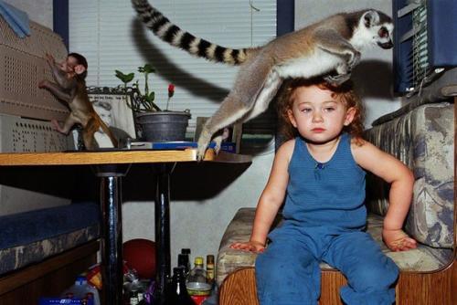 Амелия и животные. 06