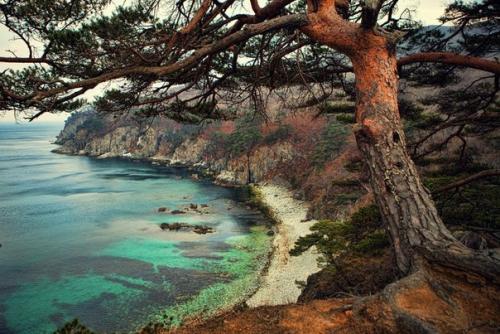 Полуостров Гамова, приморский край. 01