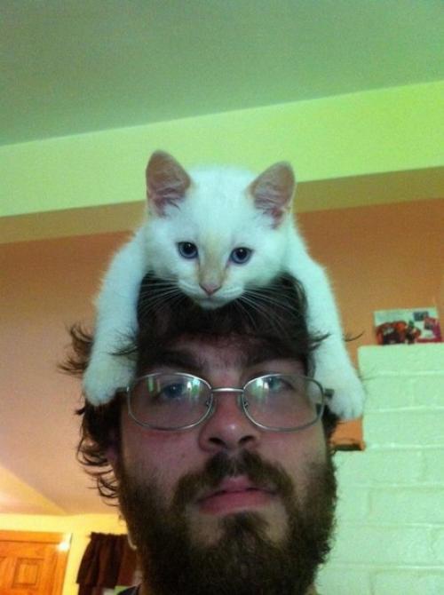 Winter is Coming. 02