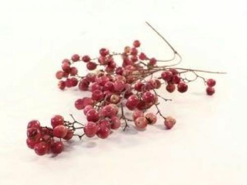 Розовый перец - не перец, лишь похоже выглядит. 01