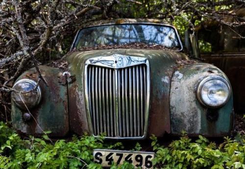 В лесах на юге Швеции находится удивительное место - кладбище автомобилей ушедшей эпохи. 08