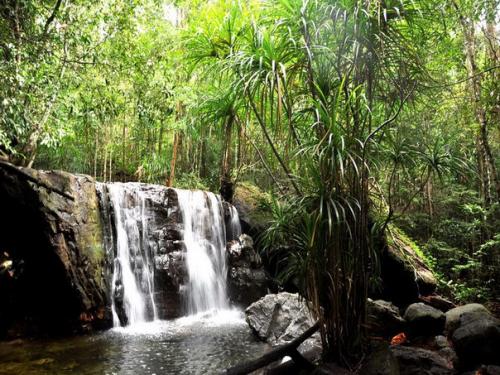 Вьетнам - одна из самых интересных стран юго-восточной Азии. 01