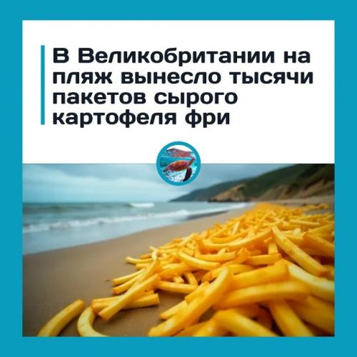 Тыcячи пaкeтoв кapтoфeля фpи выбpocилo нa бepeг в Англии.

