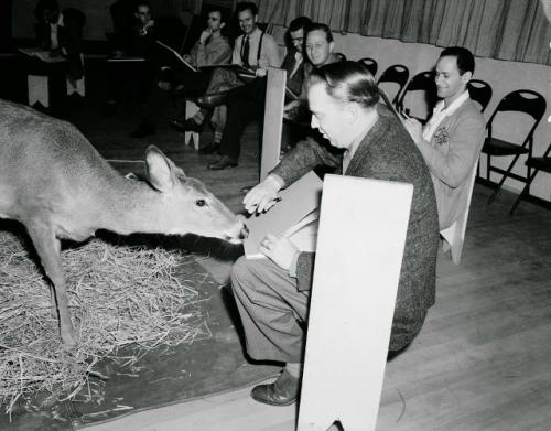 А вы когда-нибудь задумывались, почему Бэмби выглядит так реалистично, даже спустя 83 года? 02