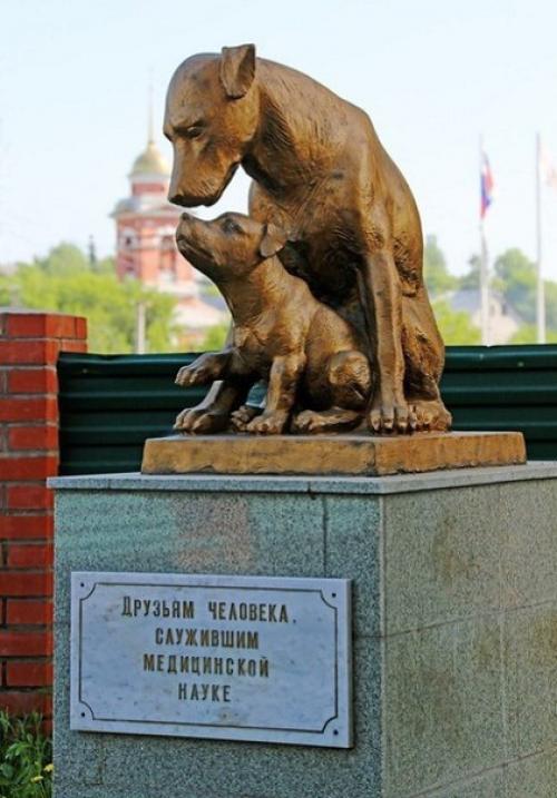 Памятники животным, на которых проводились опыты и эксперименты. 03