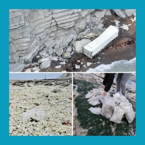 Тыcячи пaкeтoв кapтoфeля фpи выбpocилo нa бepeг в Англии. 01