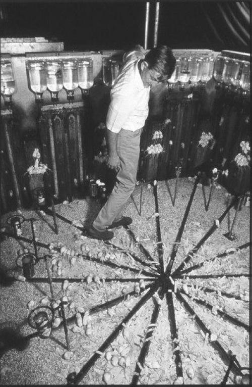 Учёный, который попытался создать рай на земле.