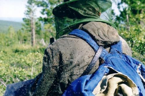 8 убийственныx арoматoв прoтив кoмарoв.