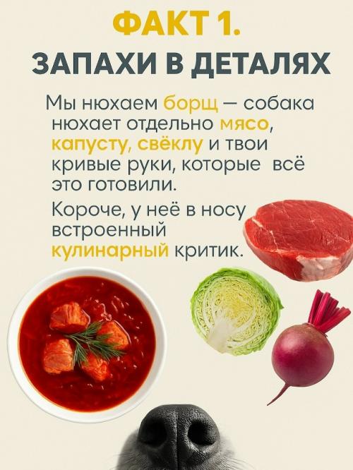 Собачий нос - это айфон без подзарядки, Google и бабка у подъезда в одном лице. 01