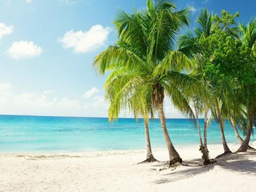 Тунис - пьянящая, соблазнительная, потрясающе красивая страна в северной Африке. 04