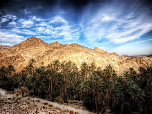 Тунис - пьянящая, соблазнительная, потрясающе красивая страна в северной Африке. 02