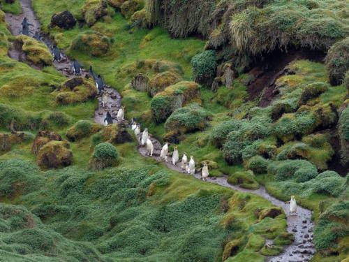 Захватывающая красота австралии. 02