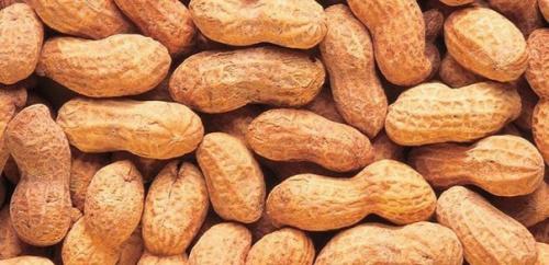 В 1915 году в штате Алабама появился хлопковый жук - долгоносик и за три года почти полностью уничтожил хлопковые плантации. 01