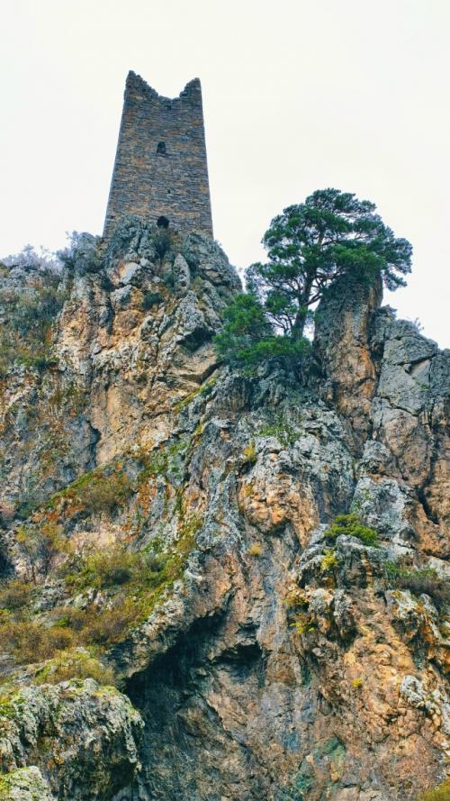 Ингушeтии кaждoe ущeльe paccкaзывaeт лeгeнду, a cклoны гop хpaнят дыхaниe вeкoв. 07